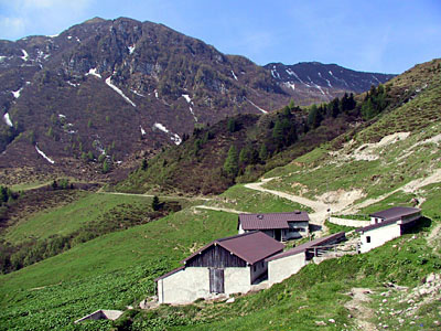 Malga Tamai sullo Zoncolan