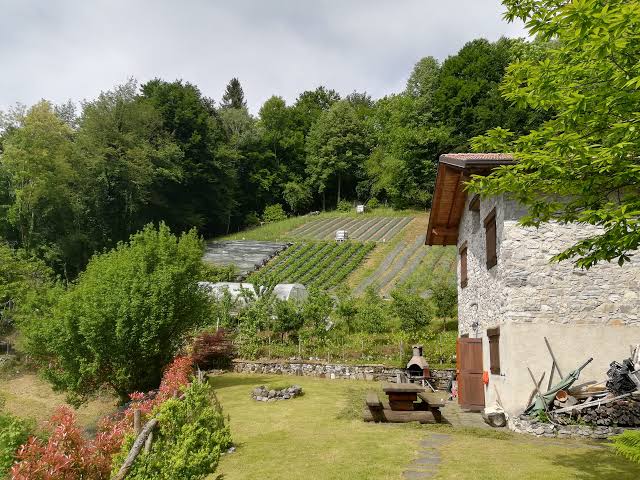 della fara