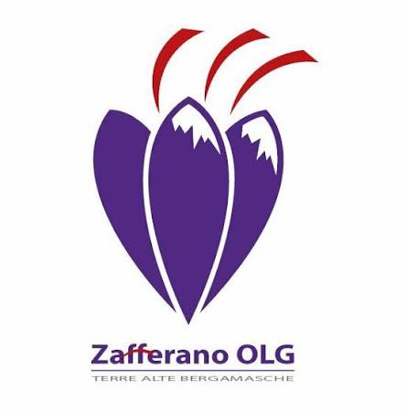 zafferano olg
