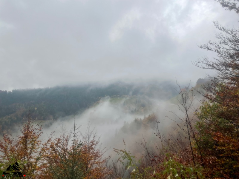 nebbia 001