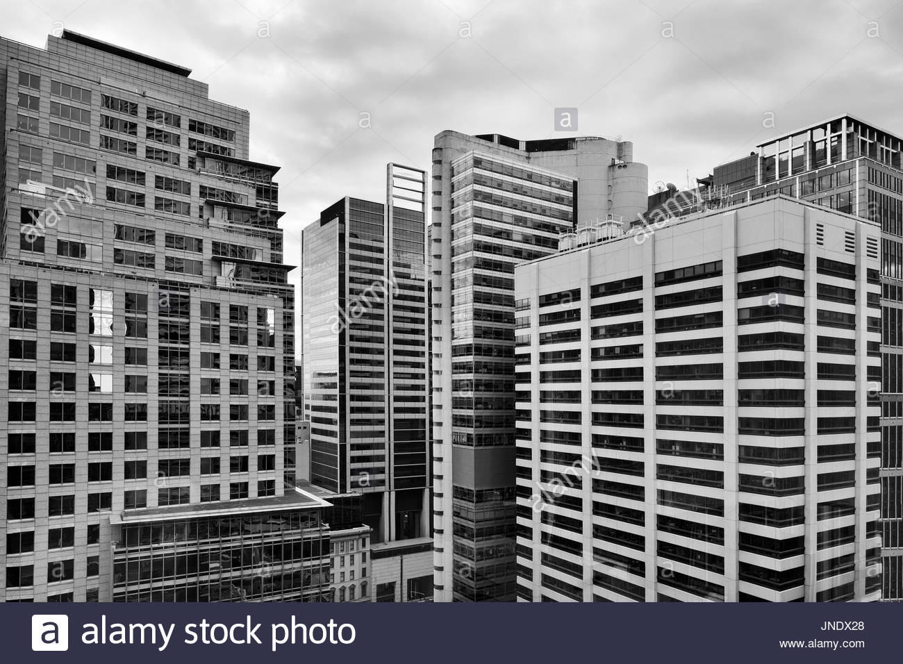 giungle di cemento di architettura moderna nella citta di sydney cbd tra alti grattacieli edifici struttura geometrica di finestre pareti livelli e mais jndx28
