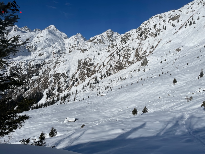 Selva d'Agnone