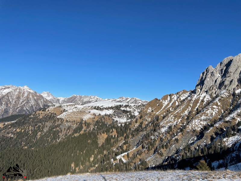 Panorama