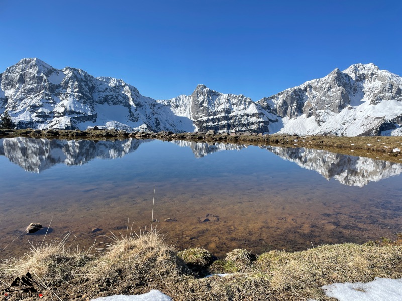Panorami
