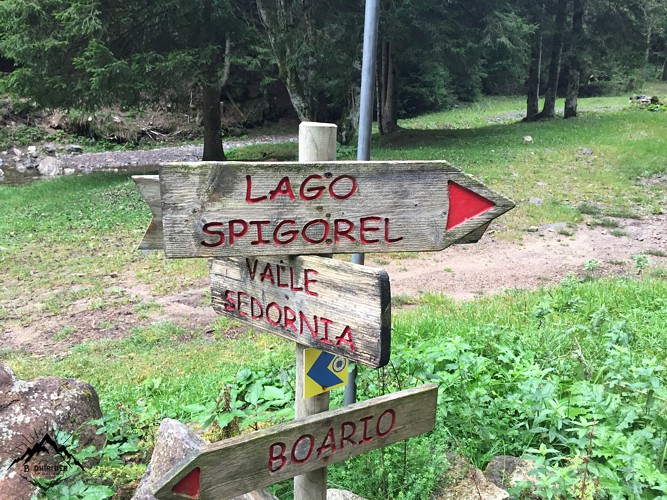 Spigorel