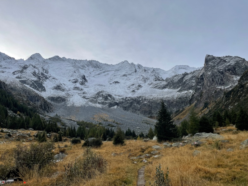 Piana