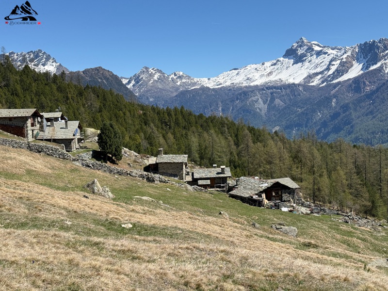 Panorami