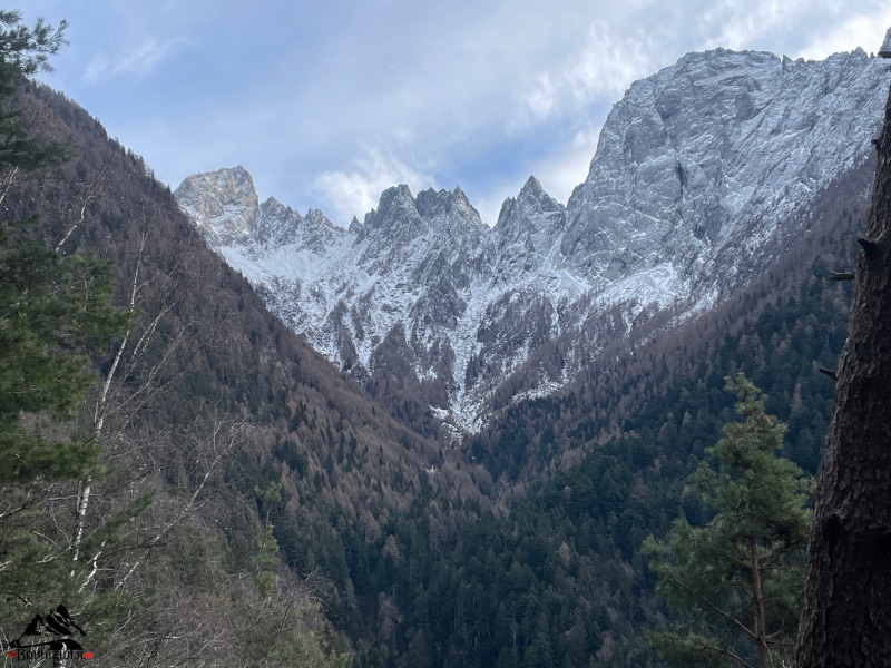 Panorami